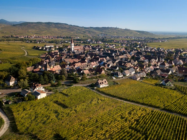 Photographie professionnelle d'une vue a&eacute;rienne ou paysag&egrave;re de la r&eacute;gion d'Ammerschwihr en Alsace, montrant le village ou ses environs avec les vignobles et collines caract&eacute;ristiques du Haut-Rhin, dans une perspective qui sugg&egrave;re la couverture g&eacute;ographique d'intervention du chauffagiste. L'image doit &ecirc;tre claire, ensoleill&eacute;e et repr&eacute;senter l'environnement rural/semi-rural o&ugrave; op&egrave;re l'entreprise ADAO.
